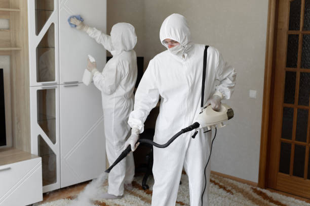 Trusted Sewage Cleanup service in Canton, IL - Four Month Blood Cleanse